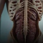 Como saber se estou com seroma da barriga? sinais e cuidados essenciais